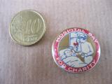 HOSPITAL DAY FOR CHARITY COMMONWEALTH PIN