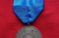Rarissima medaglia italiana ww2 valore al merito in bronzo coloniale sperimentale cod col1