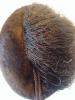 Splendido fez fascista in colbac da ufficiale (capomanipolo) della 74° legione MVSN  cod taro