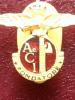 Distintivo Badge AeCI Aero Club Italia Fondatore prod Lorioli Milano cod aeci1